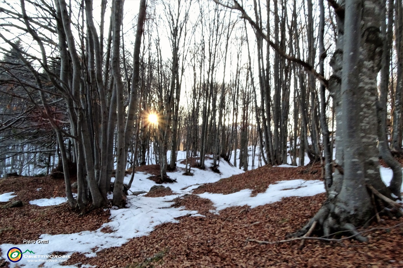 79 Sentiero in faggeta con fondo di foglie e neve.JPG